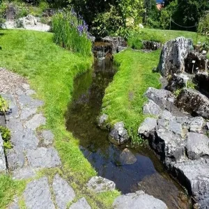 Foto de Botanical Gardens (Botanisk Hage og Museum)