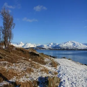 Foto de Telegrafbukta Beach