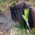 Foto 2 Museo del compositor Edvard Grieg