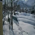 Foto 5 Tromso Botaniske Hage