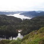 Foto 4 Vidden Trail between MtFløyen and MtUlriken